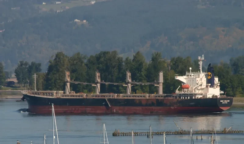 AM OCEAN PRIDE Bulk Carrier IMO 9279599 photo 5