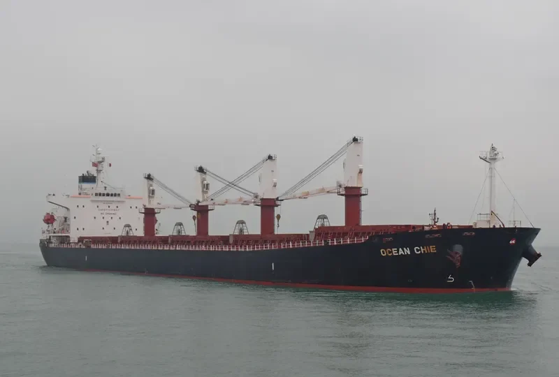 TONG DE 98 Bulk Carrier IMO 9279745 photo 2