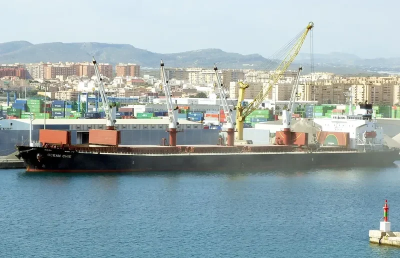 TONG DE 98 Bulk Carrier IMO 9279745 photo 3