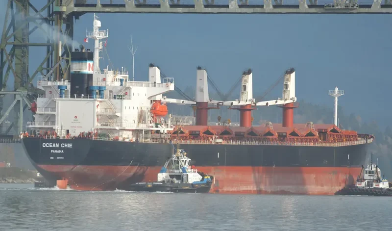 TONG DE 98 Bulk Carrier IMO 9279745 photo 4