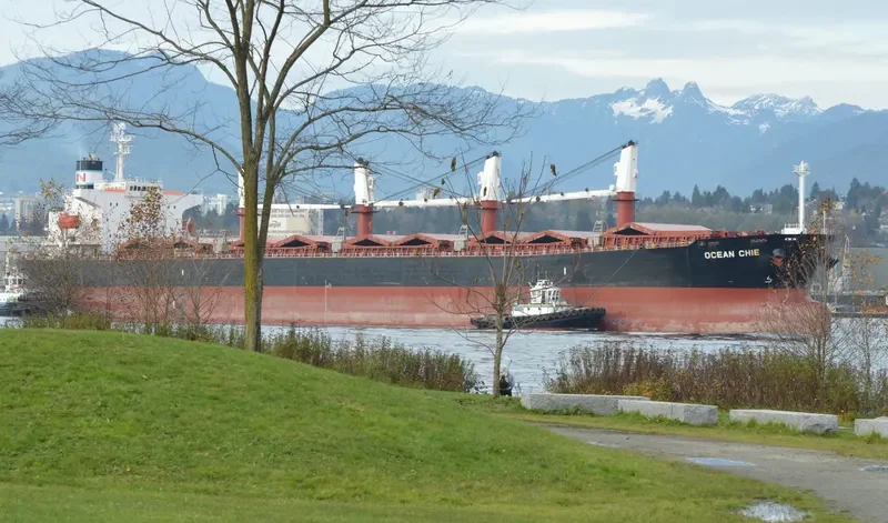 TONG DE 98 Bulk Carrier IMO 9279745 photo 5