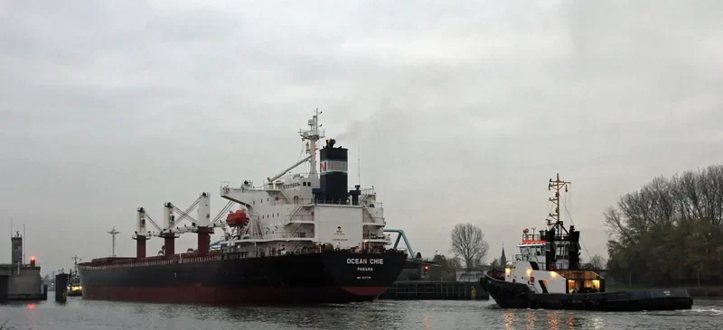 TONG DE 98 Bulk Carrier IMO 9279745 photo 8