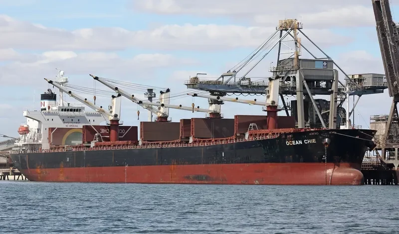 TONG DE 98 Bulk Carrier IMO 9279745 photo 10