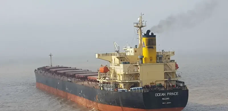 OCEAN PRINCE Bulk Carrier IMO 9279771 photo 3