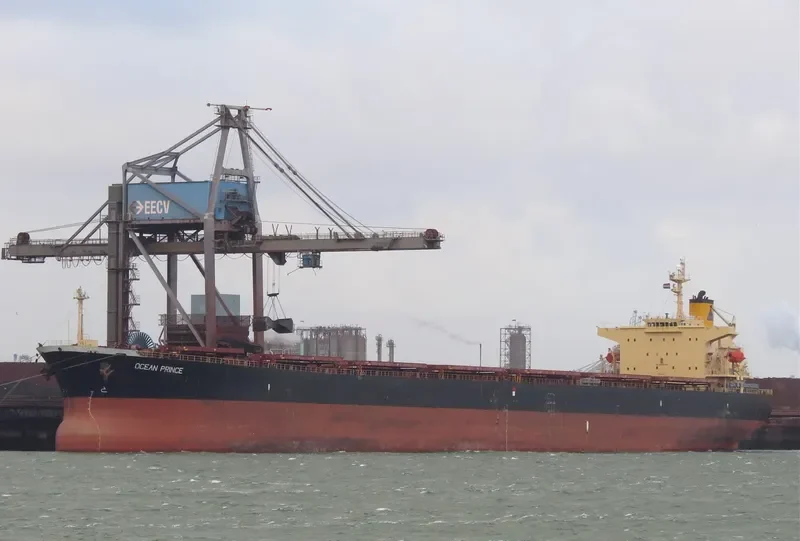 OCEAN PRINCE Bulk Carrier IMO 9279771 photo 5