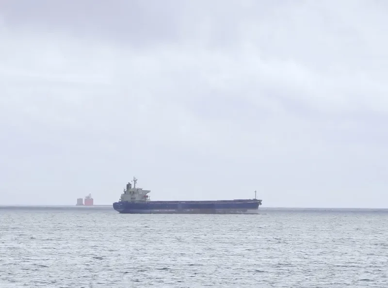 OCEAN PRINCE Bulk Carrier IMO 9279771 photo 8