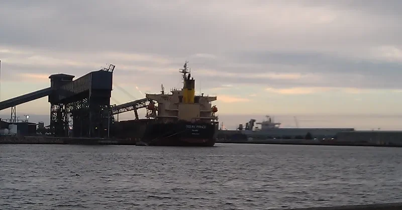 OCEAN PRINCE Bulk Carrier IMO 9279771 photo 9