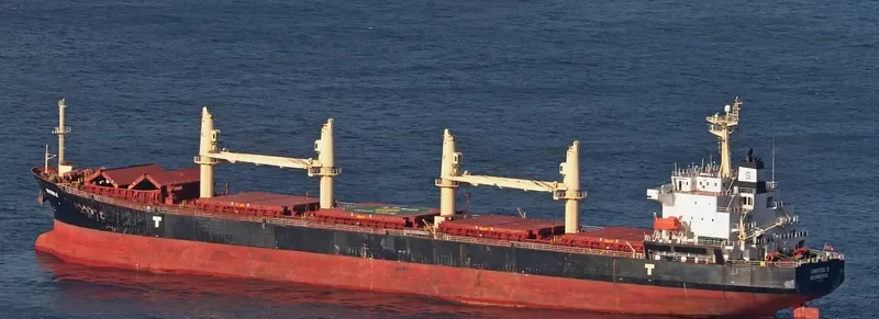 DIMITRIS S Bulk Carrier IMO 9279836