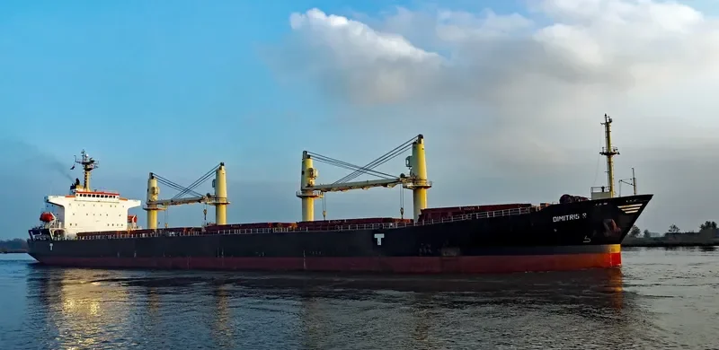 DIMITRIS S Bulk Carrier IMO 9279836 photo 3