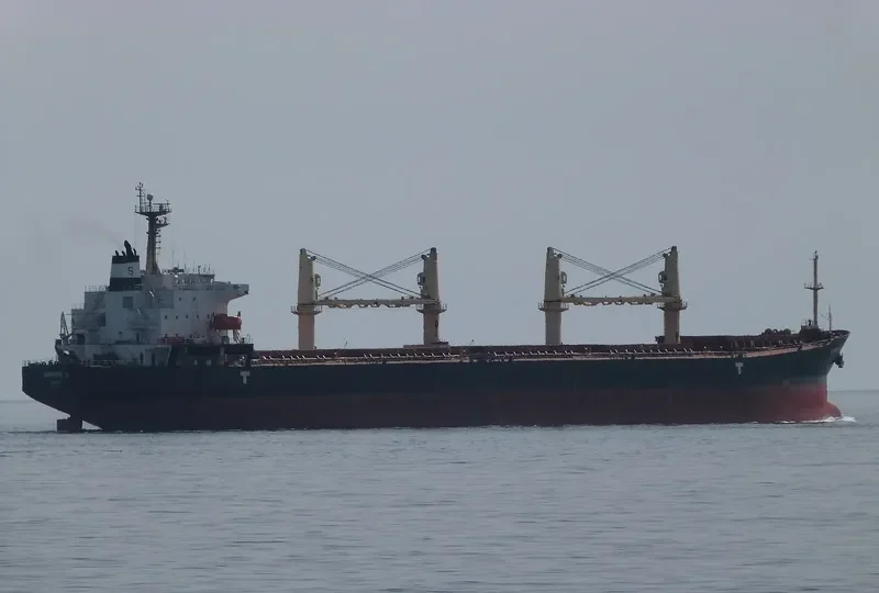 DIMITRIS S Bulk Carrier IMO 9279836 photo 4