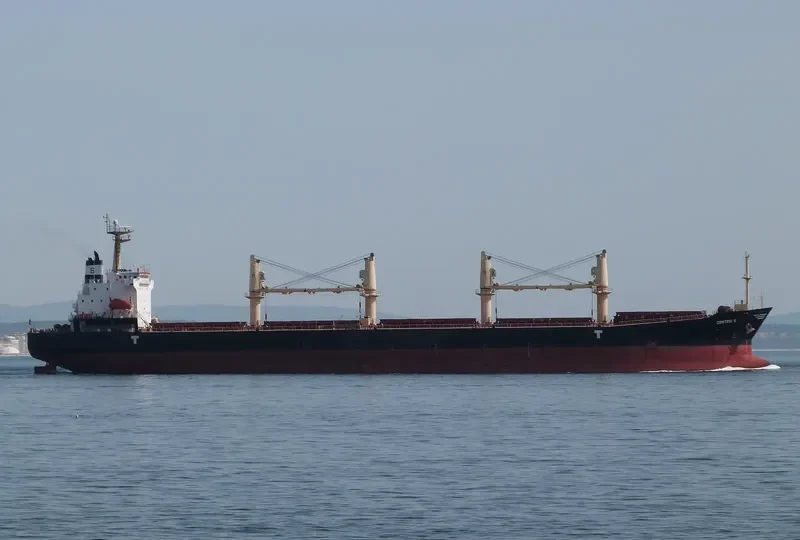 DIMITRIS S Bulk Carrier IMO 9279836 photo 5