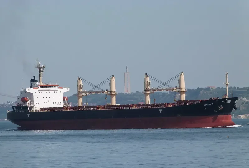 DIMITRIS S Bulk Carrier IMO 9279836 photo 6
