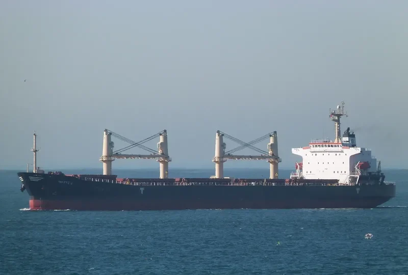 DIMITRIS S Bulk Carrier IMO 9279836 photo 7