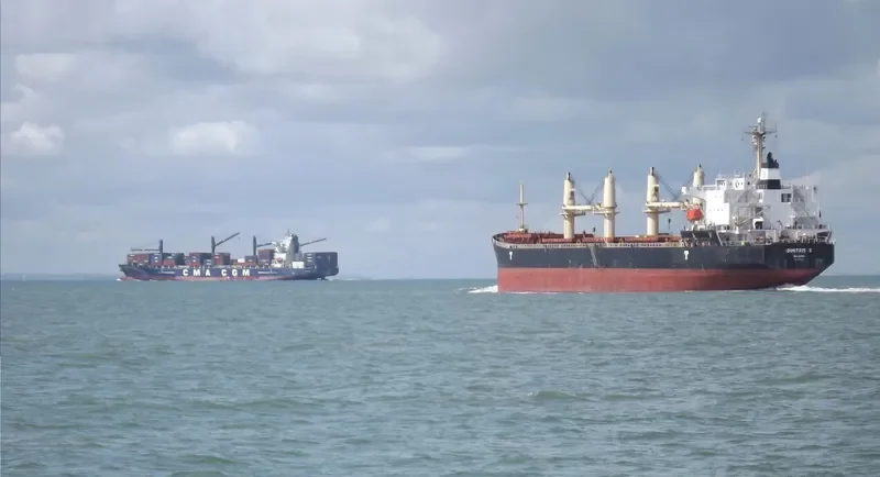 DIMITRIS S Bulk Carrier IMO 9279836 photo 8