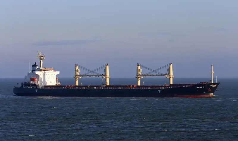 DIMITRIS S Bulk Carrier IMO 9279836 photo 9