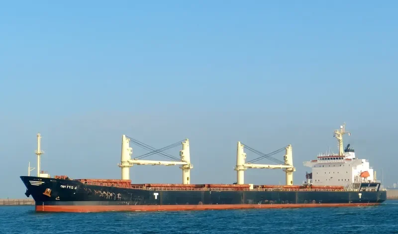 DIMITRIS S Bulk Carrier IMO 9279836 photo 10