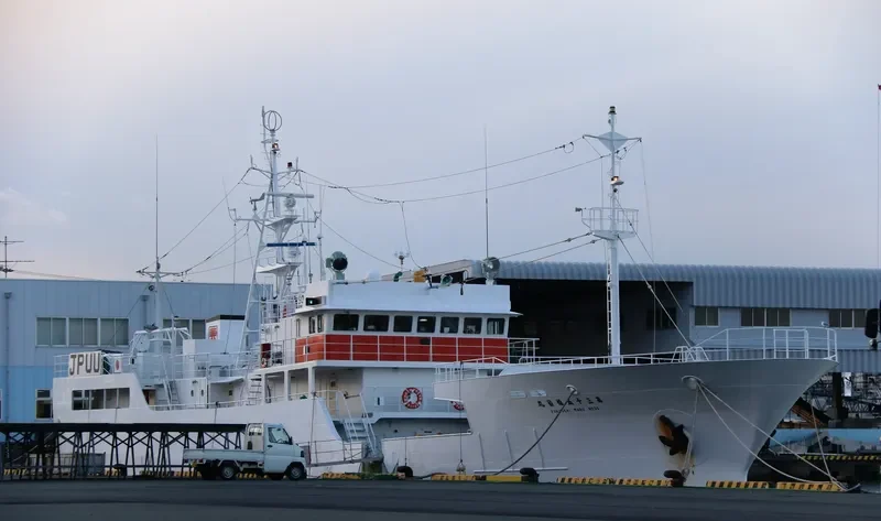 FUKUSEKIMARUNO35 General Cargo IMO 9279941 photo 3