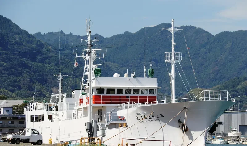 CHOKYU MARU NO.35 General Cargo IMO 9279953 photo 7