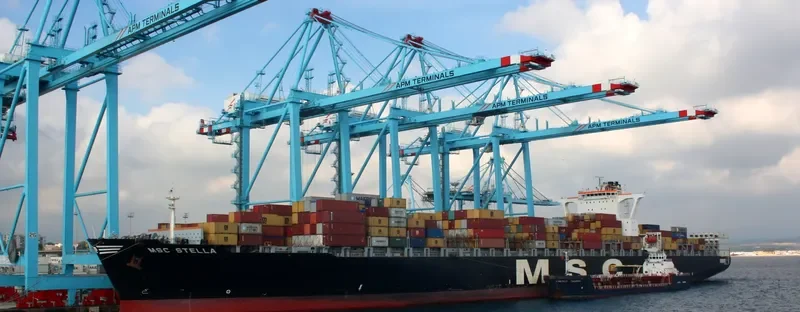 MSC STELLA Container Ship IMO 9279989 photo 7