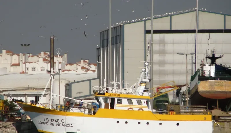 SONHO DE INFANCIA General Cargo IMO 9280017 photo 3