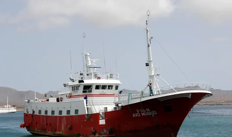 AVO MUSICO General Cargo IMO 9280043 photo 3