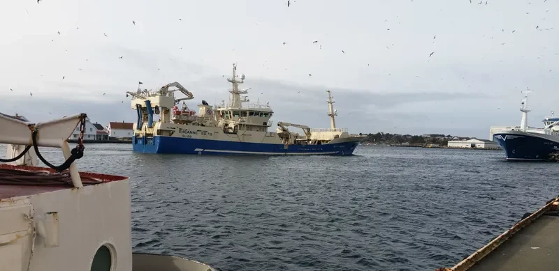 SHEANNE General Cargo IMO 9280093 photo 9