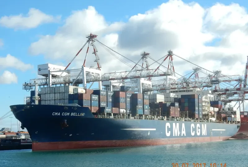 CMA CGM BELLINI Container Ship IMO 9280598 photo 7