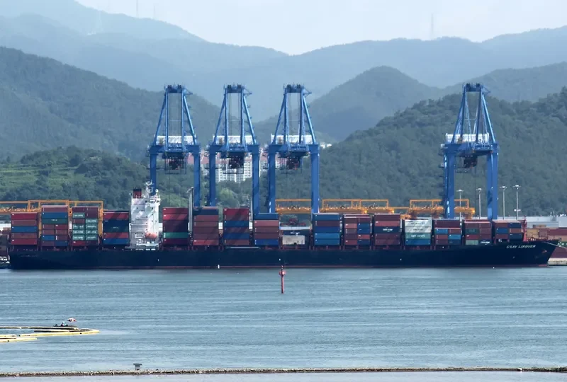 REN JIAN 19 Container Ship IMO 9280809 photo 8