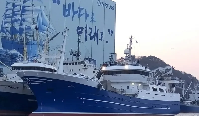 TAURUS General Cargo IMO 9281035 photo 3