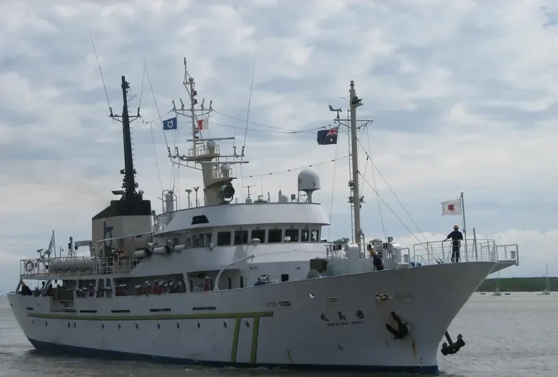 WAKATORI MARU General Cargo IMO 9281059 photo 4