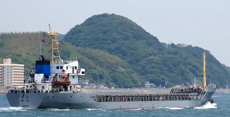 MING YANG Bulk Carrier IMO 9281138 photo 6