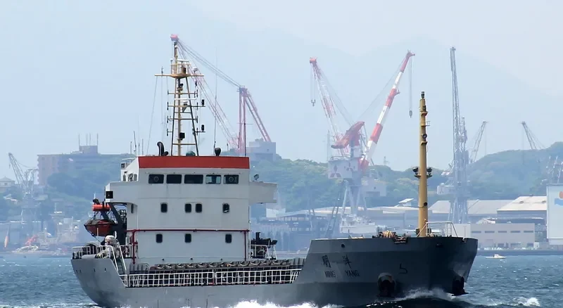 MING YANG Bulk Carrier IMO 9281138 photo 10