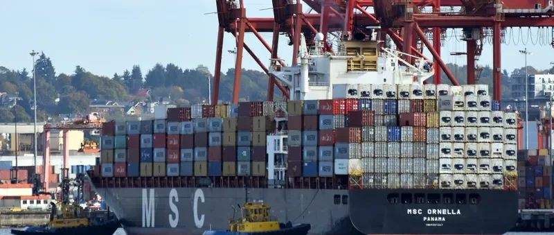MSC ORNELLA Container Ship IMO 9281267 photo 3