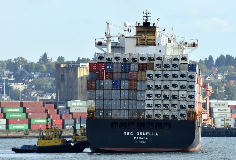 MSC ORNELLA Container Ship IMO 9281267 photo 4