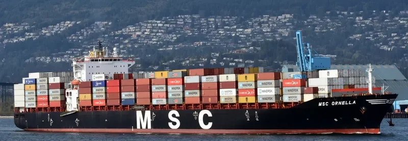 MSC ORNELLA Container Ship IMO 9281267 photo 5