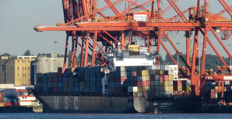 MSC ORNELLA Container Ship IMO 9281267 photo 10