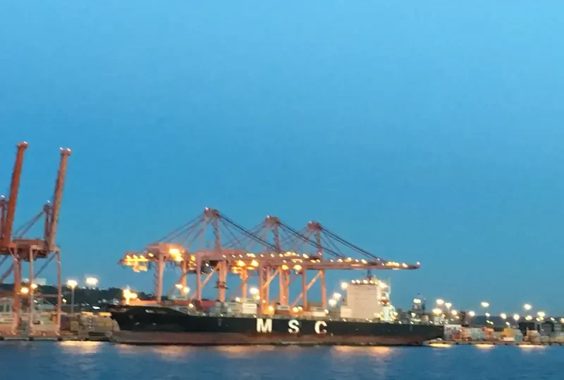 MSC LISA Container Ship IMO 9281279 photo 4