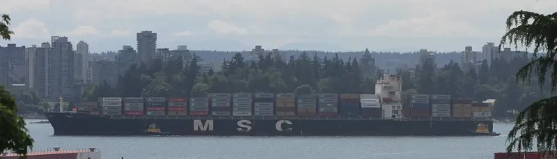 MSC LISA Container Ship IMO 9281279 photo 8