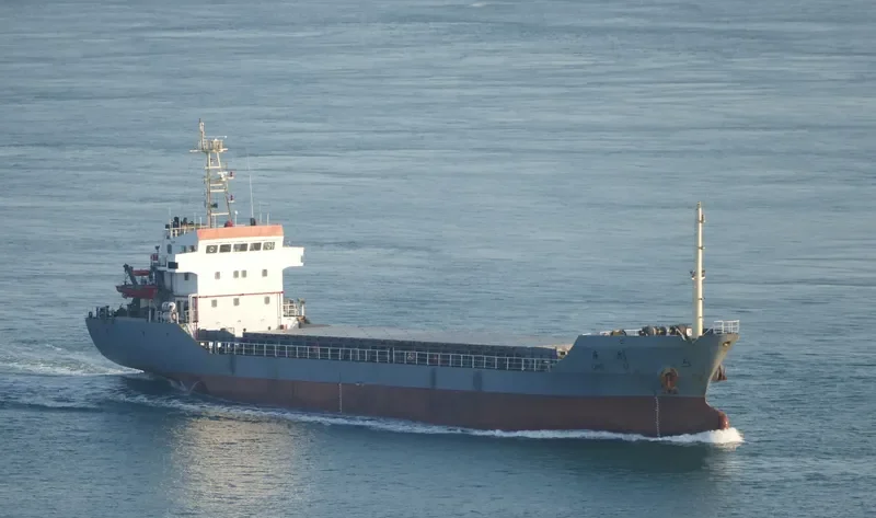 QING LI Bulk Carrier IMO 9281413