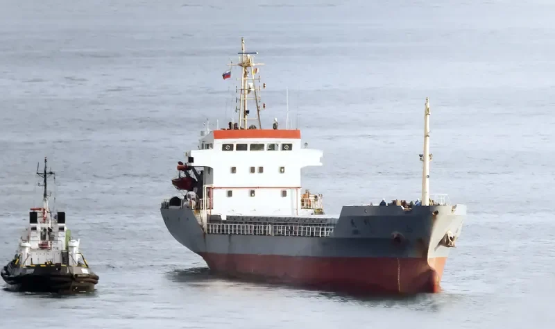 QING LI Bulk Carrier IMO 9281413 photo 3
