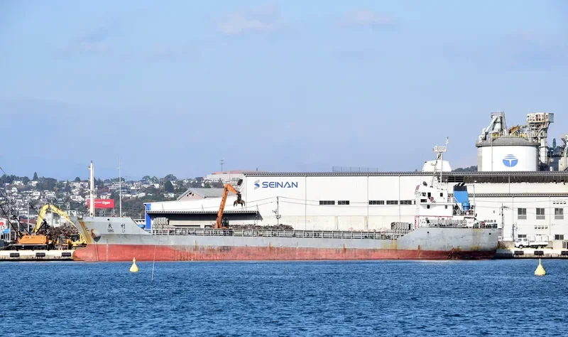 QING LI Bulk Carrier IMO 9281413 photo 4