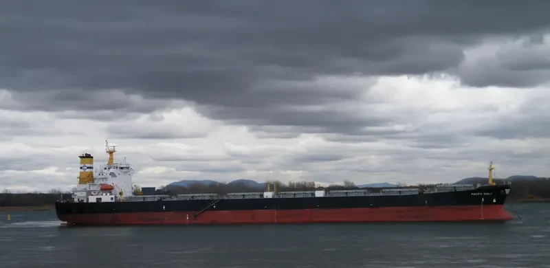 KARTINI SAMUDRA Bulk Carrier IMO 9281449