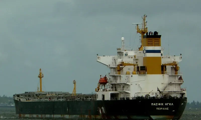 KARTINI SAMUDRA Bulk Carrier IMO 9281449 photo 9