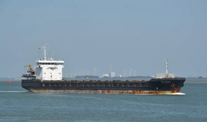 KAREWOOD PRIDE General Cargo IMO 9281499 photo 8