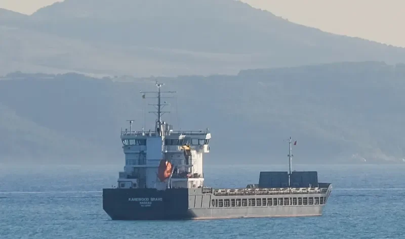 KAREWOOD BRAVE General Cargo IMO 9281516 photo 2