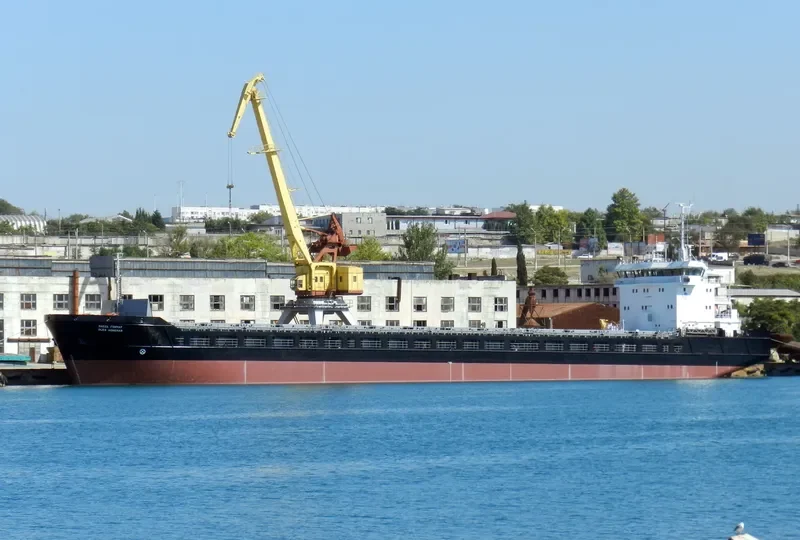 KAREWOOD BRAVE General Cargo IMO 9281516 photo 5