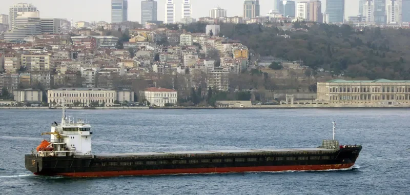 KAREWOOD BRAVE General Cargo IMO 9281516 photo 6