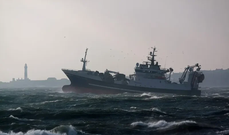 BOEMMELFJORD General Cargo IMO 9281621 photo 10