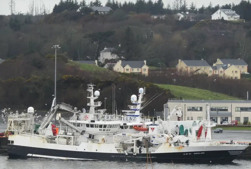 BIRKELAND General Cargo IMO 9281645 photo 2