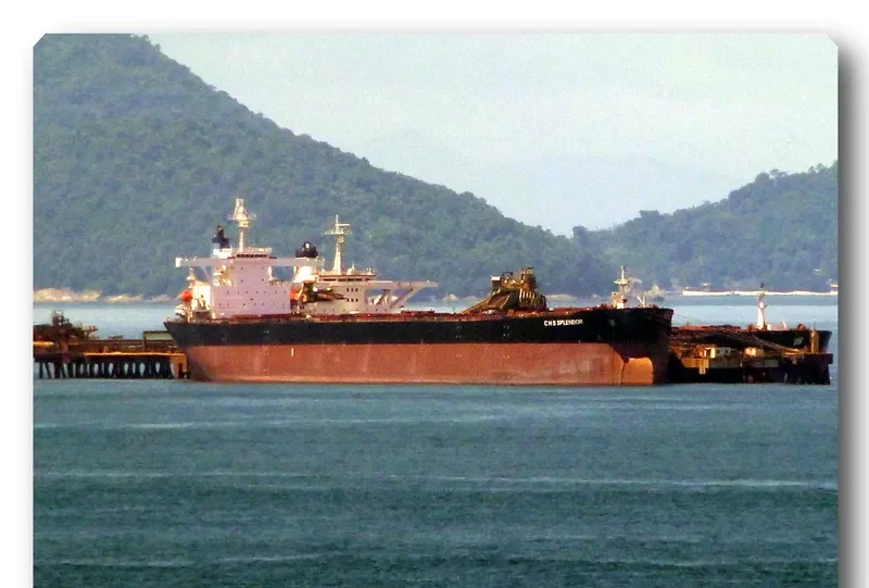 C H S SPLENDOR Bulk Carrier IMO 9281700 photo 3